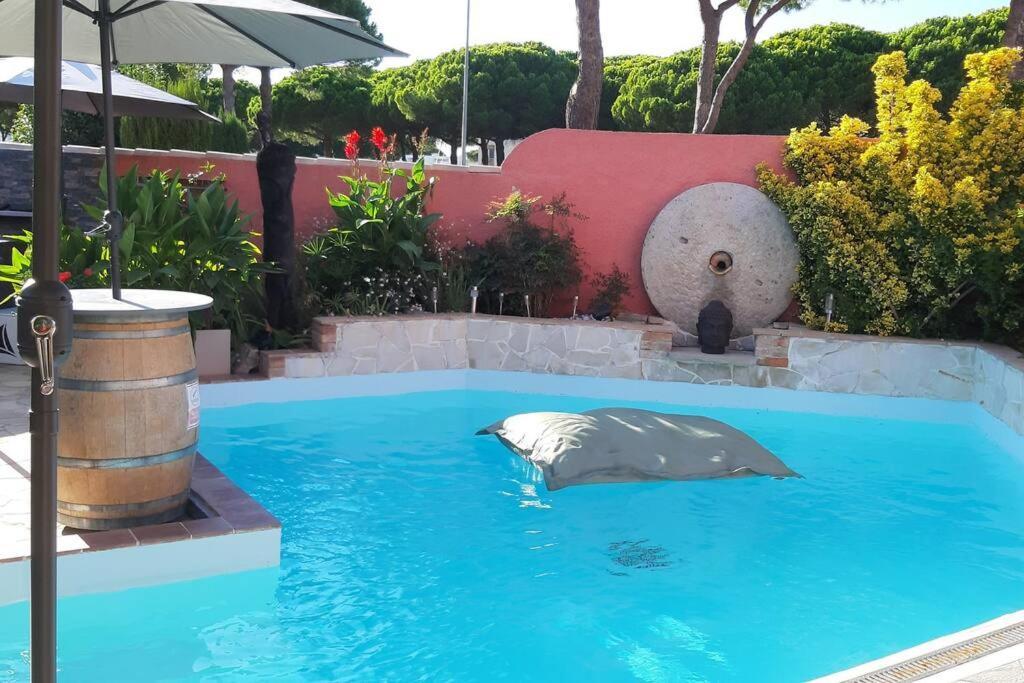 Hebergement Chambre D'Hotes Grau Du Roi Mas Des Marines Piscine Adult Only Le Grau-du-Roi Dış mekan fotoğraf